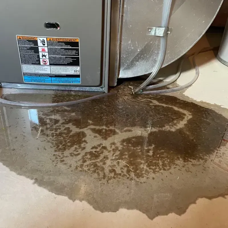 Appliance Leak Cleanup in Phillips County, AR